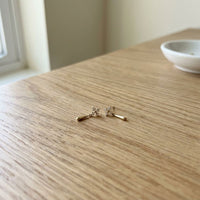 Elegant Bright Small Earrings