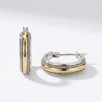 Two Tone Stripe Hoop Earrings